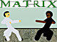 Matrix Vuruşlar