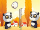 Panda Voleybolu