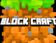 Block Craft 3D